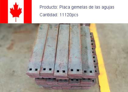 Proyecto de Placas Gemelas de las Agujas en Canadá